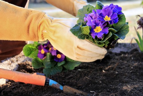 Community gardeners discussing accessible planting designs in an outdoor space.