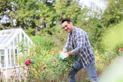 Lawn mowing in a Croydon residential garden