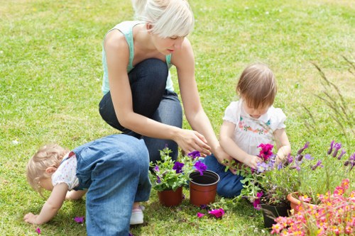 Tools and plants staged to perform corrective garden maintenance